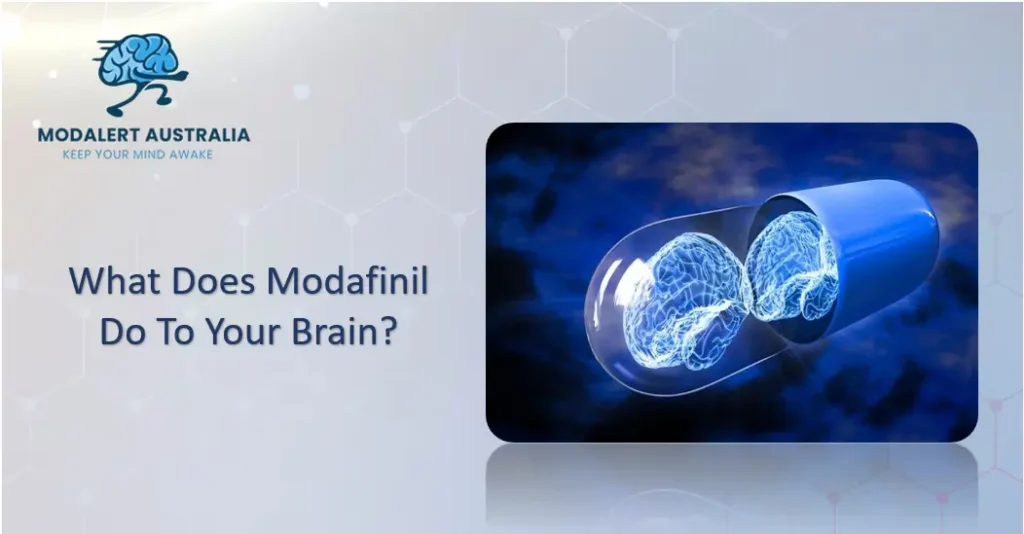 What does modafinil do to your brain