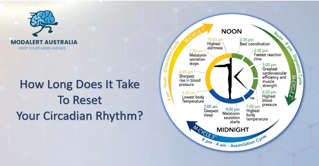How Long Does It Take to Reset Your Circadian Rhythm?